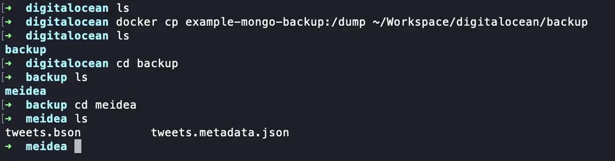 copy dump ใน container example-mongo-backup ไปไว้ที่ ~/Workspace/digitalocean เปลี่ยนชื่อเป็น backup